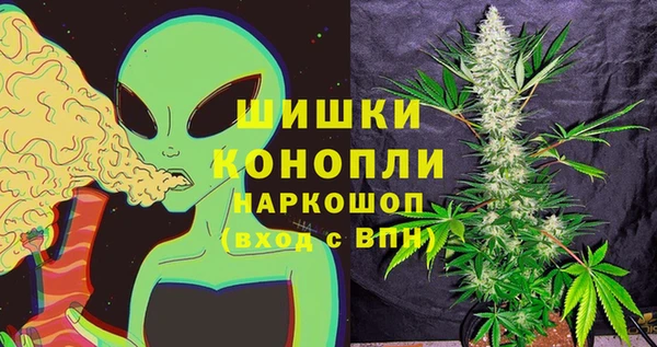 сатива Заволжье