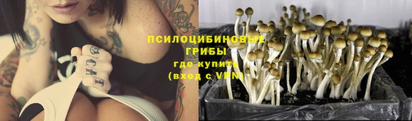не бодяженный Заводоуковск