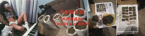 сатива Заволжье