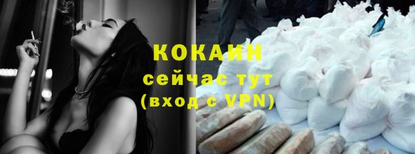 не бодяженный Заводоуковск