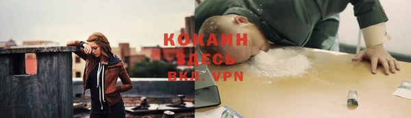сатива Заволжье