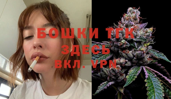 сатива Заволжье