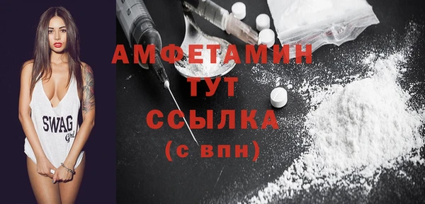 сатива Заволжье