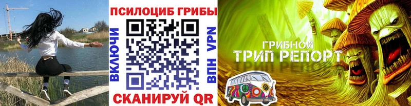 Галлюциногенные грибы Magic Shrooms Купить Новосиль
